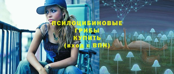 ПСИЛОЦИБИНОВЫЕ ГРИБЫ Лихославль