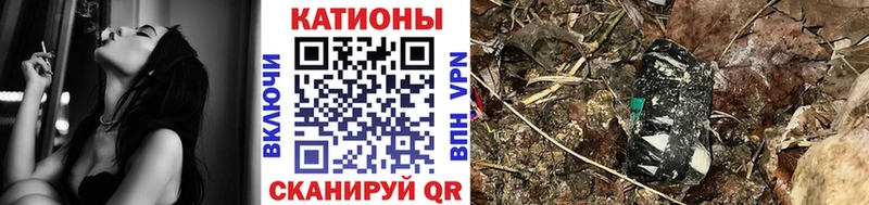 hydra   Темников  МЯУ-МЯУ мяу мяу 