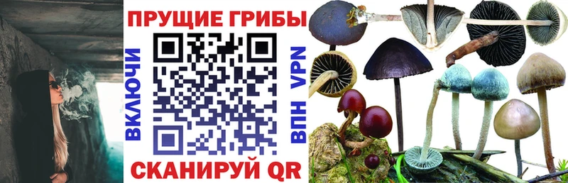 Галлюциногенные грибы Cubensis  Темников 